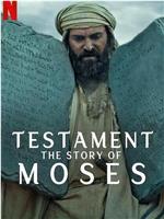 圣约之外：摩西的故事在线观看