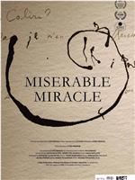 Miserable Miracle在线观看