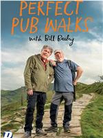 Perfect Pub Walks with Bill Bailey Season 1在线观看
