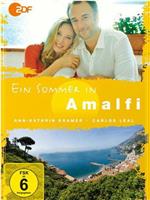 Ein Sommer in Amalfi