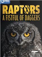 Raptors - A Fistful of Daggers在线观看