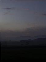 Fall from the Sky在线观看