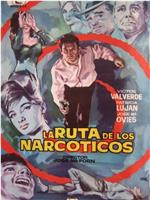 La ruta de los narcóticos