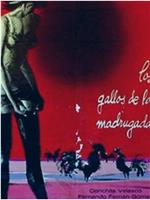 Los gallos de la madrugada在线观看