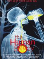 The Human Body