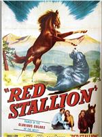 The Red Stallion