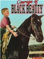 Courage of Black Beauty