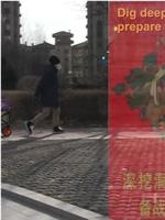 女男同性恋离婚记在线观看