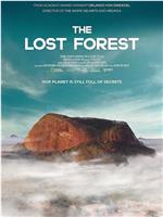 The Lost Forest