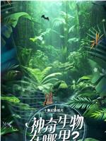 神奇生物在哪里？在线观看