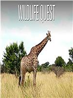 Wildlife Quest season 1 Season 1