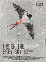 Under the Grey Sky在线观看