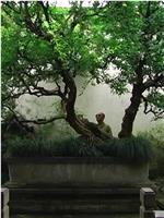 Deng Guo Yuan, in the garden