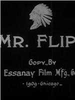 Mr. Flip