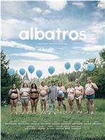 Albatros
