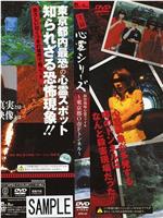 実録心霊シリーズ 殺害現場 心霊ファイル~東京都O市Fトンネル~