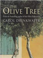 The Journey of an Olive Tree