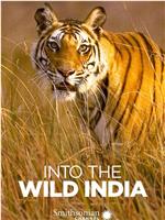 Into the Wild: India Season 1