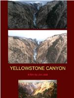 Yellow Stone Canyon