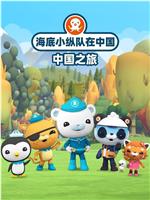 海底小纵队在中国：中国之旅在线观看