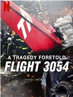 悲剧预言：巴西3054航班空难在线观看