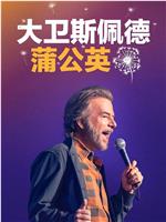 大卫·斯佩德：蒲公英