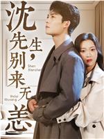沈先生，别来无恙在线观看