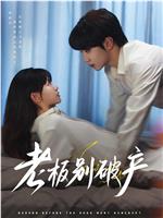 老板别破产在线观看