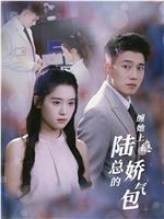 缠她上瘾陆总的娇气包在线观看
