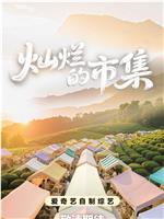 灿烂的市集