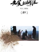 老虎的斑纹