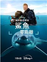 摄影师贝尔蒂与鲨鱼零距离