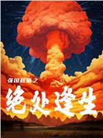 强国核盾之绝处逢生